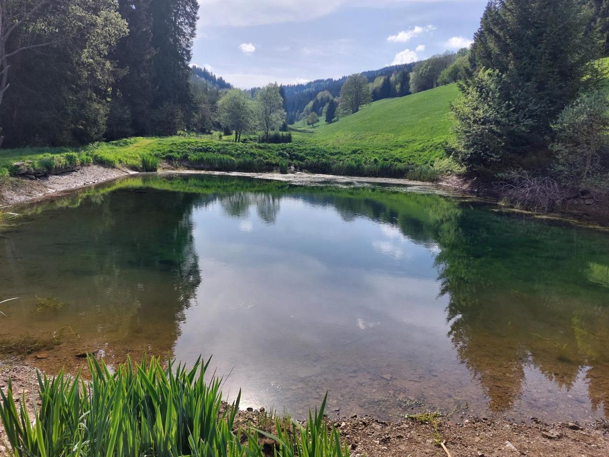 Schwarzes Ross Hotel & Restaurant Oberwiesenthal Zewnętrze zdjęcie